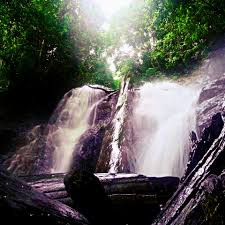 Air terjun jumog adalah air terjun yang berada di lereng gunung lawu, lebih tepatnya berada di kabupaten karanganyar. Air Terjun Sungai Pelepah Kiri Kota Tinggi Carolyn A K A Nadia S Blog