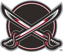 Nhl Redesign No More White Penguins Sharks Added 24 30 Logo Game Logo Keren Desain Logo