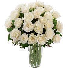 Guia Flor Lisianthus Branco Rosa Cultivo Caracteristicas