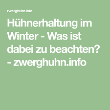 Huhnerhaltung Im Winter Was Ist Dabei Zu Beachten Zwerghuhn Info Zwerghuhner Huhner Haltung Huhner