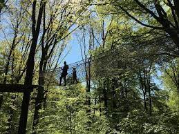 Gestartet sind wir mit vier parcours, haben seither beständig ausgebaut und bieten jetzt acht parcours an. Kletterpark Velbert Langenberg Picture Of Wald Abenteuer Velbert Langenberg Velbert Tripadvisor