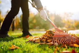 Leaf Removal Service Bronx NY