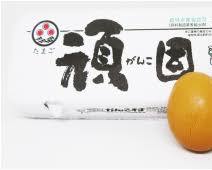 頑固赤玉の画像