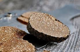 Truffeln Aus Dem Eigenen Garten Tipps Zum Anbau Lebensmittel Essen Pilze Anbauen Truffel