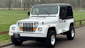 Image result for Bright White 1993 Jeep