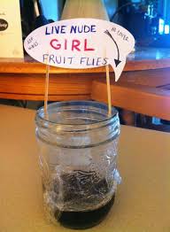 Fruit Fly Thirst Trap Meme Guy