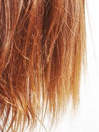 Here's how to stop them from getting worse in isolation, according to a hairdresser. There Are 16 Different Types Of Split Ends On This Chart Allure