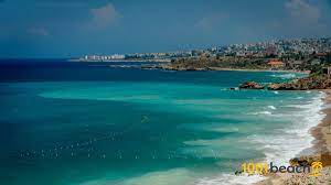 We did not find results for: Strande In Libanon