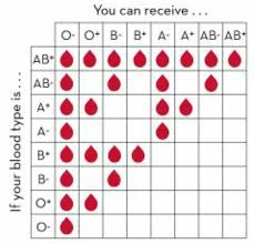Pin By Jan Marie Schneider On Nursing Blood Type Chart