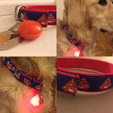 pin auf dog leash