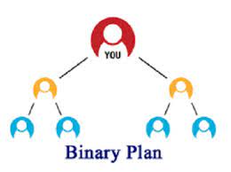 As Said Earlier The Plan Is Divided In Two Core Parts I E Binary And Level Matrix The Level Is Even Network Marketing Software Network Marketing How To Plan
