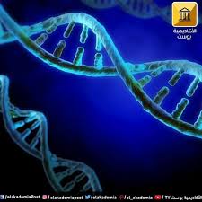 توجد كمية كافية من الحمض النووي dna في جسم الانسان لتمتد من الشمس حتى بلوتو ذهابا وإيابا 17 مرة animals octopus tv