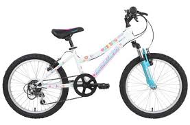 Schwinn Shade 20 Inch 2020 Kids Bike
