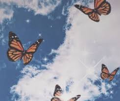 High quality monarch butterfly aesthetic gifts and merchandise. Butterfly Aesthetic Wallpaper Laptop Butterfly Mania