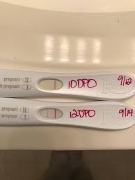 Bfn's then bleeding/af now bfp? 12 Dpo Bfp