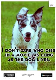 I Don T Care Who Dies In A Movie As Long As The Dog Lives Funny Animals I Love Dogs Cute Animals