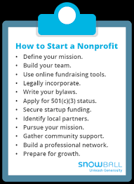 These Are The 12 Key Steps Required For Starting A Nonprofit Organization.  - Snowball Fundraising
