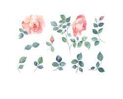 Romantic Roses Floral Clip Art Watercolor Illustration Etsy Flower Illustration Watercolor Tattoo Flower Flower Clipart