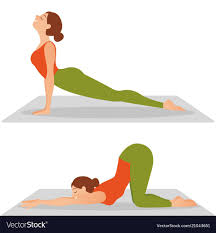 Set Beautiful Young Woman Doing Yoga Or Pilates Exercise Cow Bitilasana Asana Paired With Cat Pose On The Exhale Full L Cat Supplies Cat Pose Yoga Cow Cat