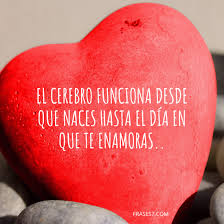 La amistad puede ser más complicada que el amor. Frases Graciosas Cortas Y Divertidas Con Gran Sentido Del Humor