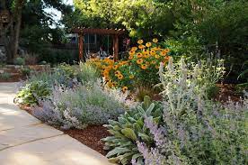 How To Start Your Own Pollinator Garden Tėviskės Ziburiai The Lights Of Homeland In 2021 Pollinator Garden Pollinator Garden Design Garden Design Plans