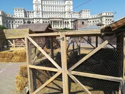 Spectacolul vlaicu vodă de alexandru davila, în regia lui horia suru, unul dintre cele mai aşteptate proiecte de pe agenda centenarului marii uniri, organizat de teatrul excelsior şi primăria capitalei, va fi prezentat, de vineri. Satul Medieval Al Lui Vlaicu VodÄ La Casa Poporului