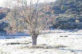 We did not find results for: Rio Grande Do Sul Tem Frio Intenso E Soledade Registra Marca De 4 1Âºc