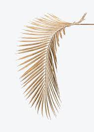 Download Premium Psd Of Areca Palm Leaf Painted In Gold Mockup On An Off Palm Leaves White And Gold Wallpaper Areca Palm