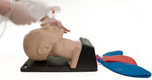 Image result for Advanced Airway