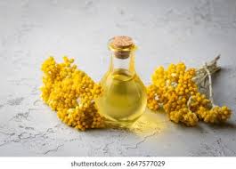 Image result for Helichrysum mechowianum
