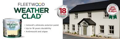 Fleetwood Paints Brand Page Woodies