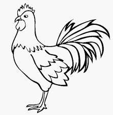 Banyak orang memelihara karena warna dan bentuk bulunya yang indah. Gambar Sketsa Hewan Yang Lucu Dan Mudah Dibuat
