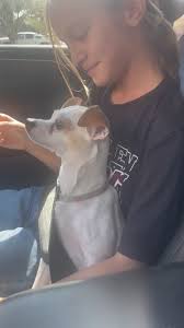 Catchers, don't waste your throw down