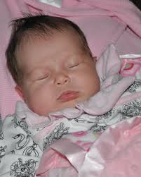 E R I N • B I B B (@erinbibb) · Instagram 照片和视频