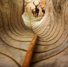 Viewpoint photography is a mobile app developer company and developed apps like dof master and steam. 22 Viewpoint Ideas Viewpoint Photography Worms Eye View