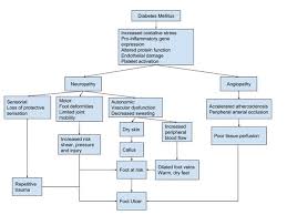 Image result for IDSA Diabetic Foot Wound Classification