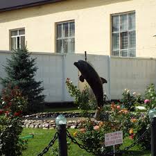 Federal governmental institution — penal colony № 6 federal penitentiary service of russia in orenburg region, commonly known as the black d. Cvetnichok Picture Of Black Dolphin Prison Sol Iletsk Tripadvisor