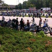 Stacy Winner-Scheer (stacy099)