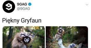 Griffin, also spelled griffon or gryphon, composite mythological creature with a lion's body (winged or wingless) and a bird's head, usually that of an eagle.the griffin was a favourite decorative motif in the ancient middle eastern and mediterranean lands. Besty Pl Gryfaun