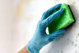 Because of the high heat and humidity from showers and baths, heavier wallpapers and additional glue are usually used check the walls with your hands after you remove the wallpaper. How To Remove Mold From Walls For Good Housewife How Tos