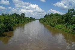 When translated to be :: Anjir Wikipedia Bahasa Indonesia Ensiklopedia Bebas