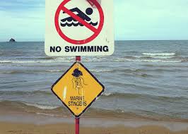 Andere arten, wie beispielsweise die würfelqualle sind bei einem biß / berührung für den schwimmer tödlich! So Schutzt Du Dich Vor Quallen In Australien Und Was Du Tun Musst Wenn Dich Doch Eine Erwischt Miles Shores