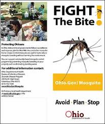 These diseases kill and infect millions of people each year. Mosquito Borne Diseases In Ohio Ohio Department Of Health