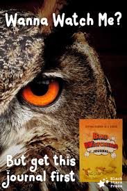 Birds Of East Texas Book Pin On Nature Plants Birds Observation Watching