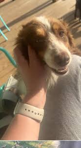 LOST IN QUITMAN- KAYLEY HILL CHURCH area