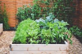 We did not find results for: Plan And Prep Your Vegetable Garden Seattle S Favorite Garden Store Since 1924 Swansons Nursery