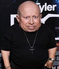 His favorite sports team is the toronto maple leafs (nhl), and in his movie austin powers in goldmember (2002), the character mini me is sporting a toronto maple leafs jersey in the prison scene. Austin Powers Mini Me Star Verne Troyer Has Been Hospitalised