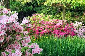 Pin On In The Garden