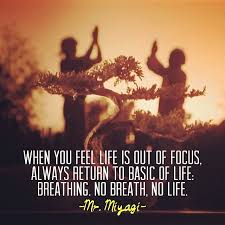 Maybe you would like to learn more about one of these? Quotes Mr Miyagi L Quotes Daily