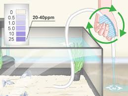 How To Test The Water In An Aquarium 13 Steps With Pictures
